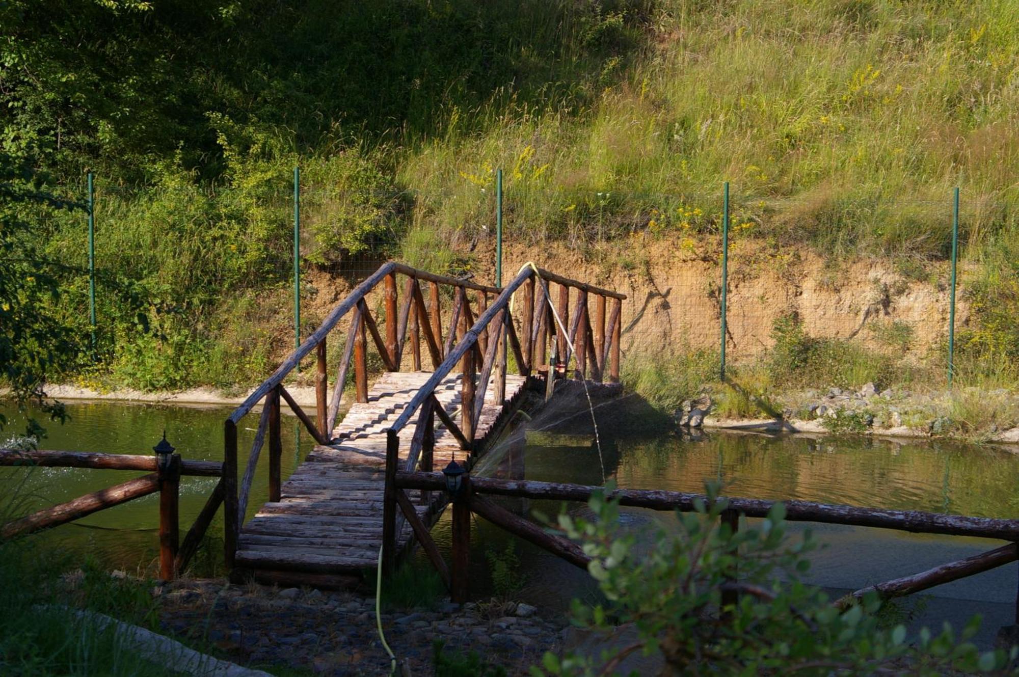 Villa Mark Kraevo Dış mekan fotoğraf