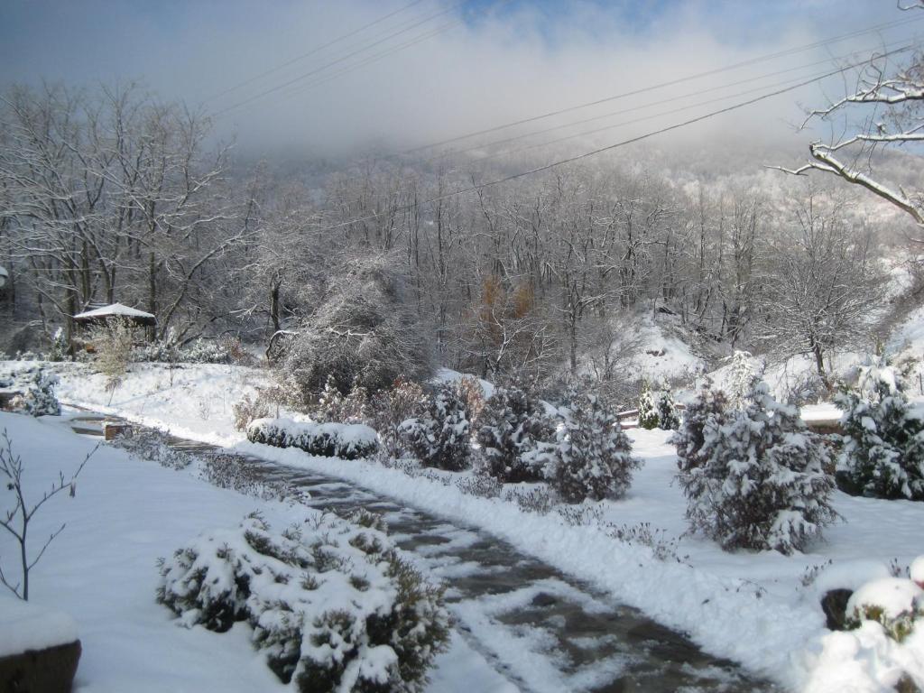 Villa Mark Kraevo Dış mekan fotoğraf