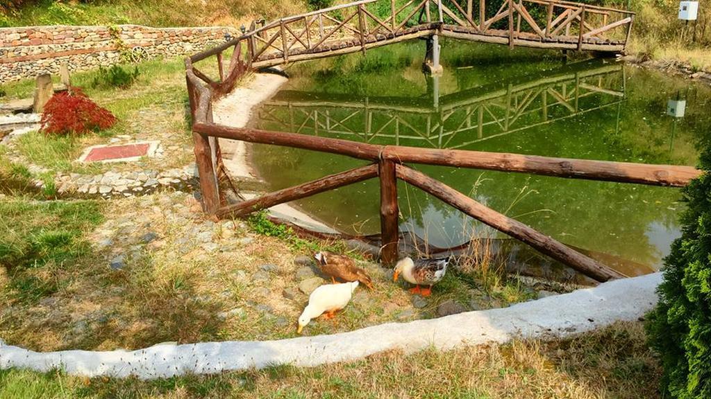 Villa Mark Kraevo Dış mekan fotoğraf